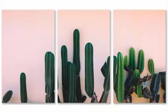 Mur de cactus - tableau cactus