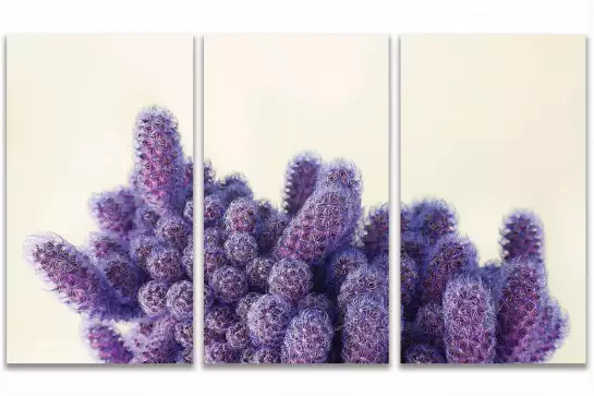 Graphique violet cactus - cactus affiche