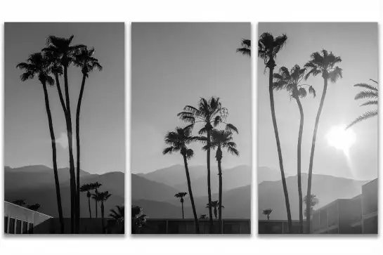 Palm springs - affiche de palmier