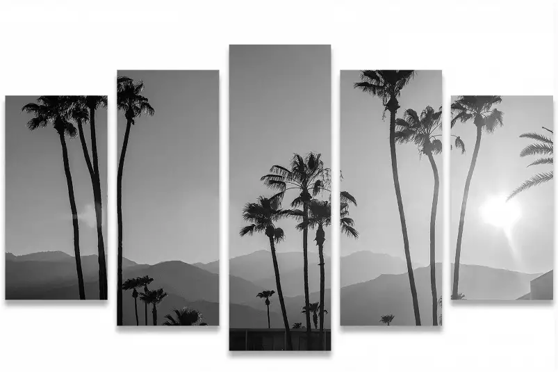 Palm springs - affiche de palmier