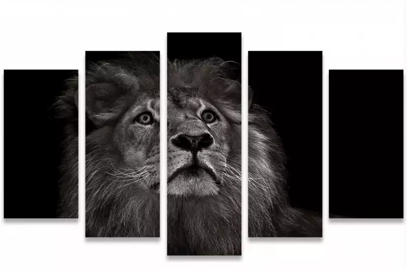 Majestueux roi des animaux - affiche animaux