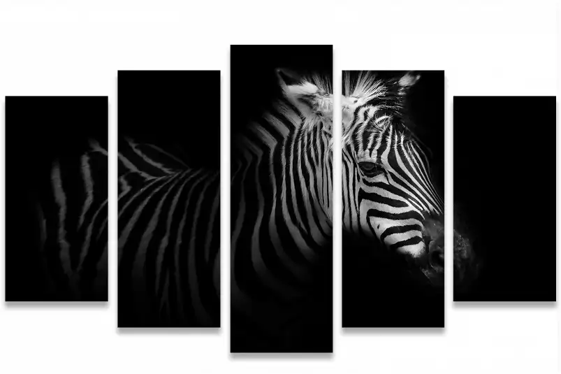 Zebre de profil - affiche animaux