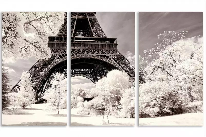 Winter white la tour eiffel - tableau paris