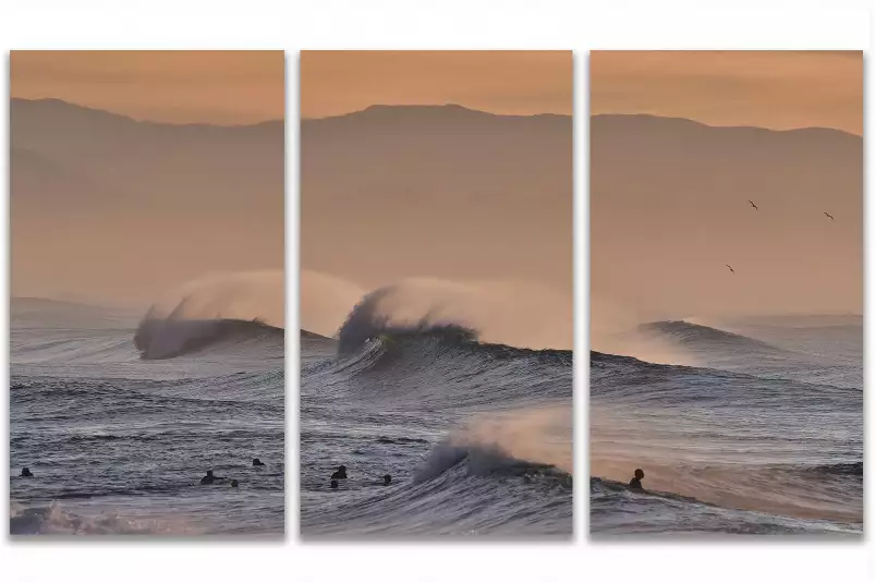 Plage hossegor mouettes au pic - poster ocean