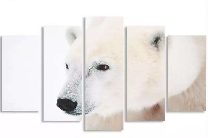 Ours blanc polaire - tableau animaux