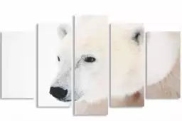 Ours blanc polaire - tableau animaux