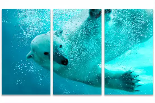 Ours blanc en plein plongeon - tableau animaux