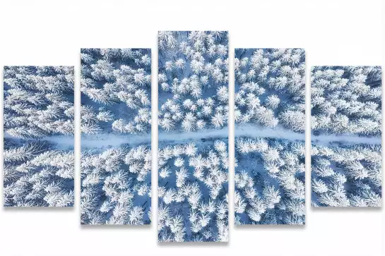 Bleue de neige blanche - affiche foret