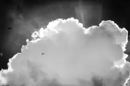 Nuage blanc - affiche du ciel