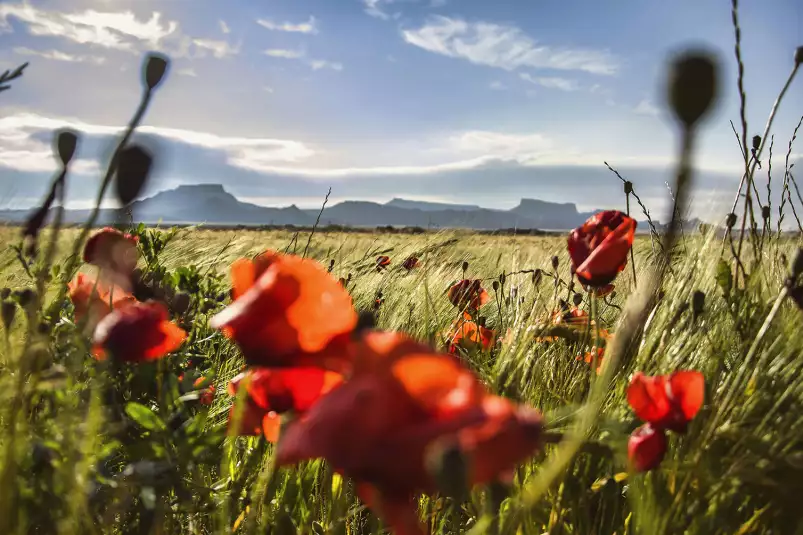 Les bardenas - tableau paysage nature