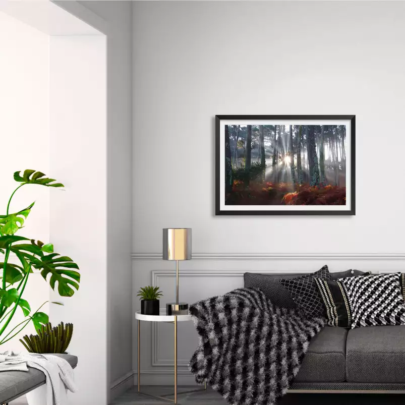 Cadre photo avec affiche - Sable - Plantes - Allemagne - 120x80 cm