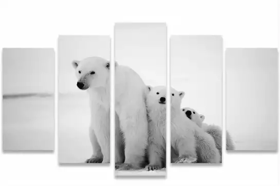 Family polar bear - affiche animaux