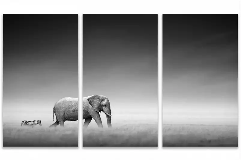 Artistic processing - tableau elephant