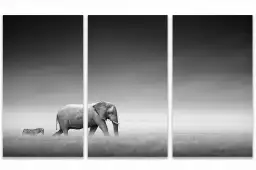 Artistic processing - tableau elephant