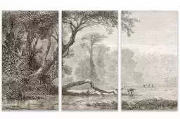 Gravure les bords du fleuve - tableau jungle