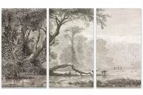 Gravure les bords du fleuve - tableau jungle