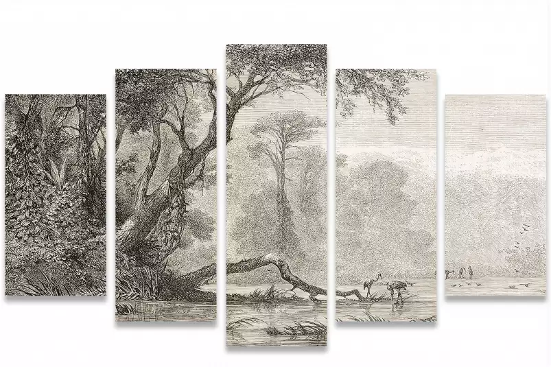 Gravure les bords du fleuve - tableau jungle