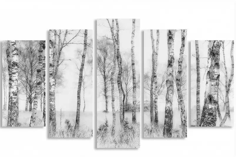 Bouleaux en monochrome - tableau foret