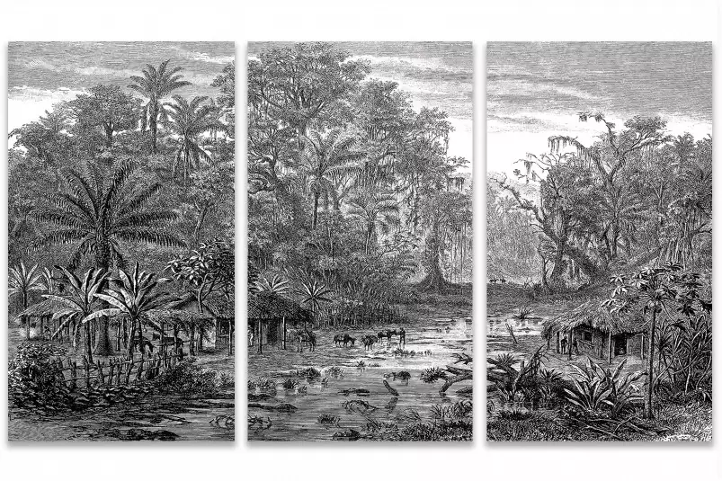 Forêt de mangroves - tableau foret