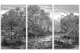 Forêt de mangroves - tableau foret