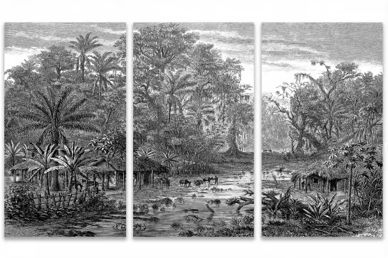 Forêt de mangroves - tableau foret