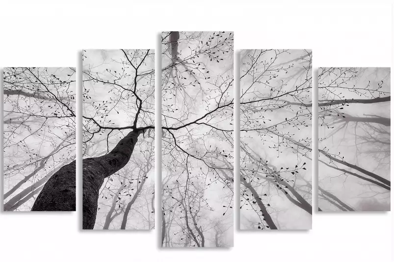 Canopée en noir et blanc - tableau foret