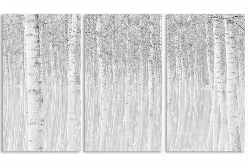 Perspective trees - tableau foret