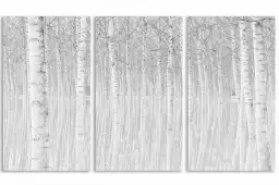 Perspective trees - tableau foret