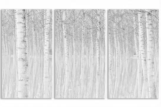 Perspective trees - tableau foret