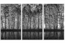 Pointillisme - tableau foret