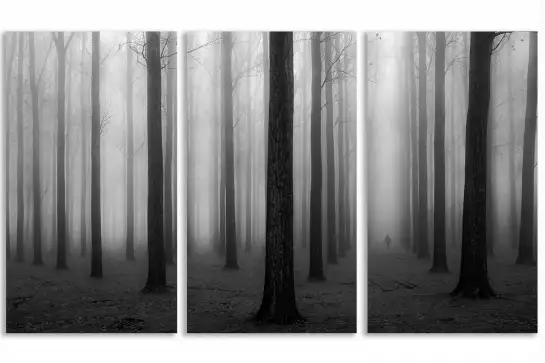 Foggy weather - tableau foret