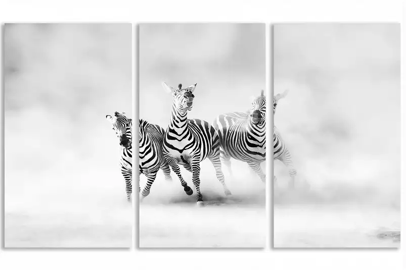 Racing stripes - poster animaux