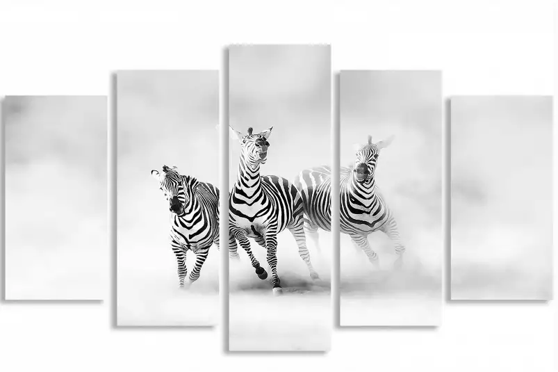 Racing stripes - poster animaux