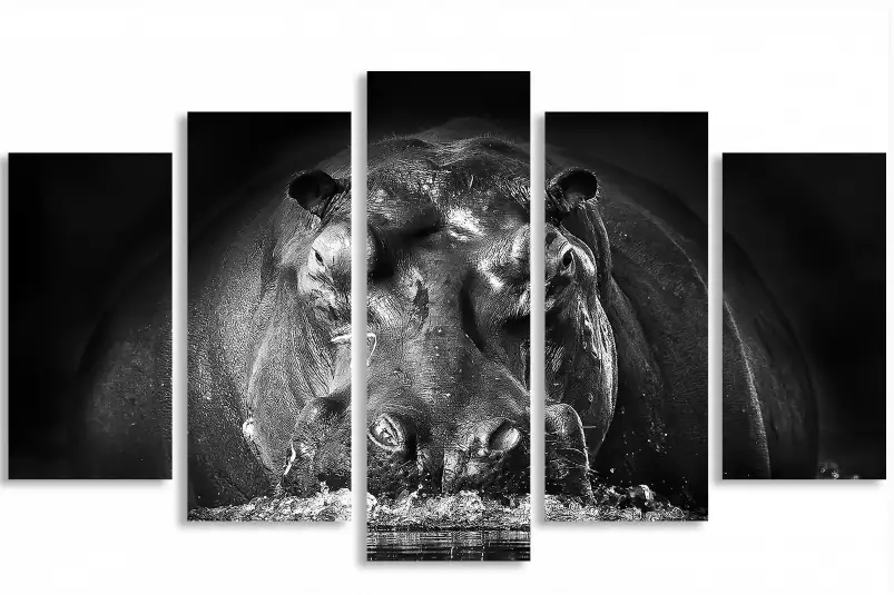 Portrait hippo - poster animaux