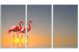 Flamands - tableaux oiseaux colorés