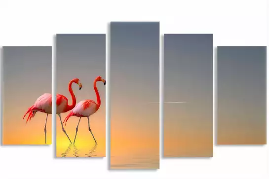 Flamands - tableaux oiseaux colorés