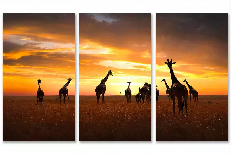 Girafes family - portrait animaux