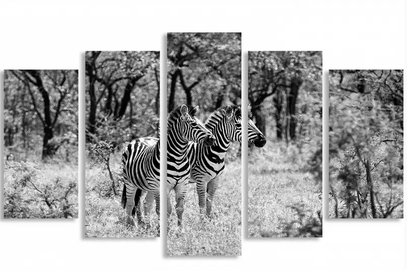 Savane en noir et blanc - poster animaux