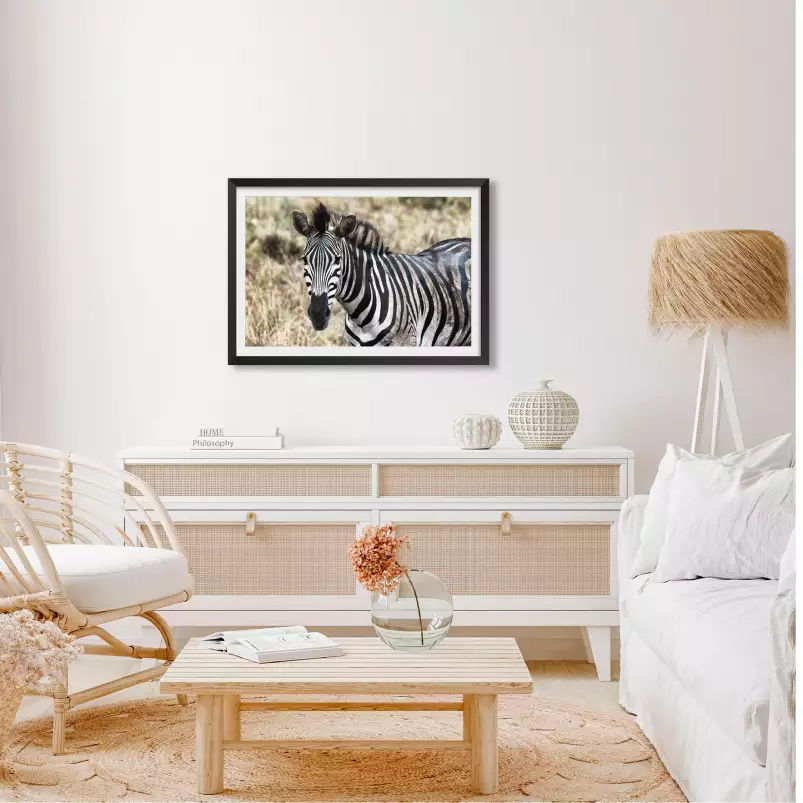 Zebre en pleine savane - poster animaux
