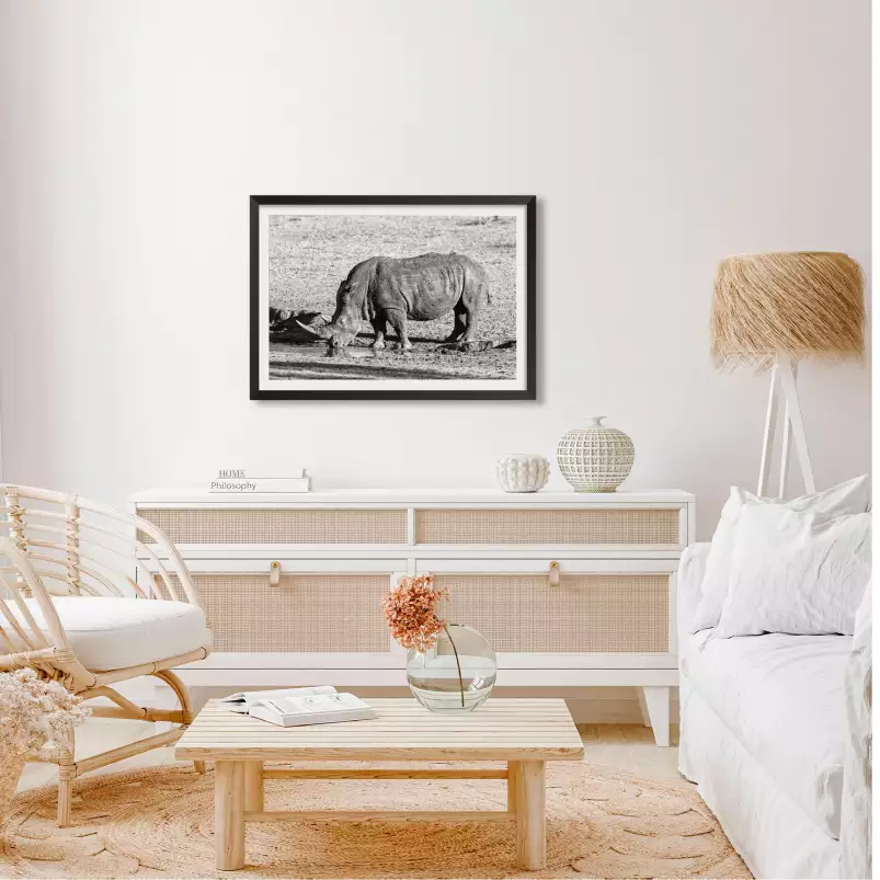 Rhino en savane - poster animaux