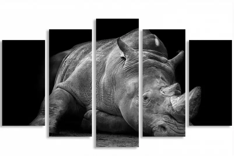 Strong rhino - poster animaux