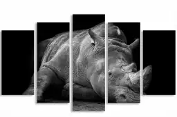 Strong rhino - poster animaux