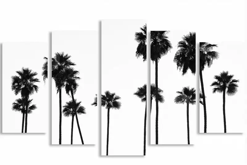 Palmier black california Affiches v hicule