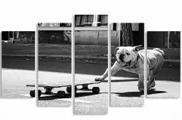 Skate dog - affiche animaux