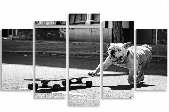 Skate dog - affiche animaux