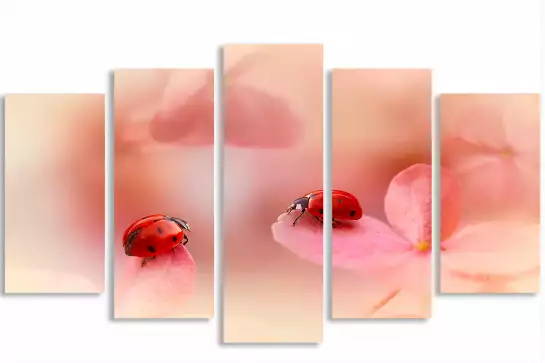 Petites coccinelles - affiche romantique