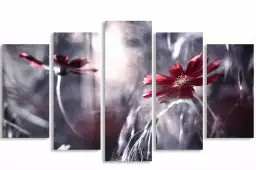 Affiches de plantes - tableau fleurs