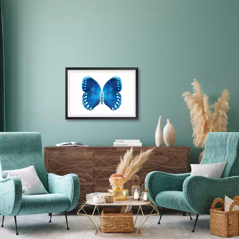 Papillon bleu - affiche animaux