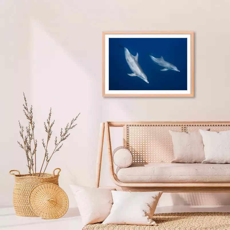 Bleu dauphins et profondeur - poster fond marin