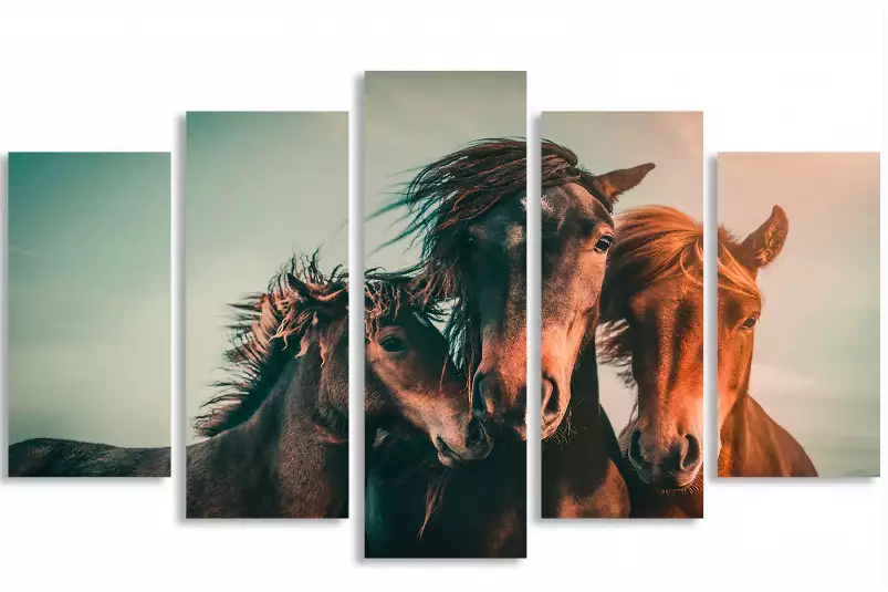 Horse family - posters chevaux